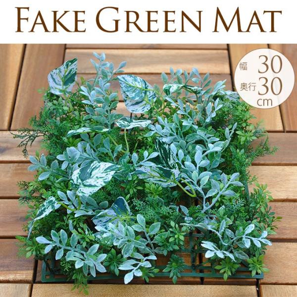 tFCNO[   񂹐A x_ pl   Ǌ| A ΂̑ԁ@R̉o tbV[t~bNX}bg