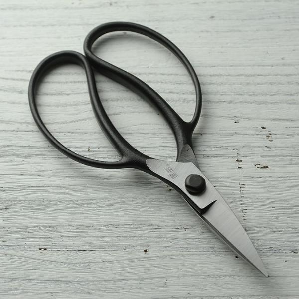  nT~ vdl ~  | El Ɩp 傫ȃObv P Ac^