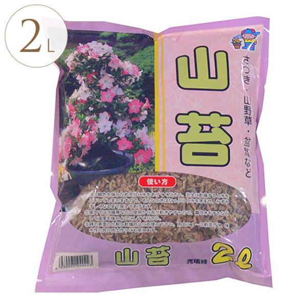 苔 盆栽 培養土 用土の人気商品 通販 価格比較 価格 Com