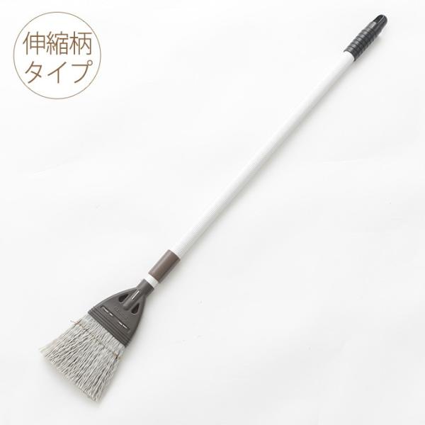 zEL x_   | ق O   w偂̑z[L