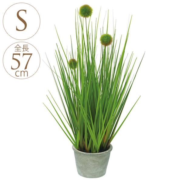 �t�F�C�N�O���[�� �C���e���A ������� ���ԃ|�b�g ���� �|���|���O���X �|�b�g S 57cm �O���[��