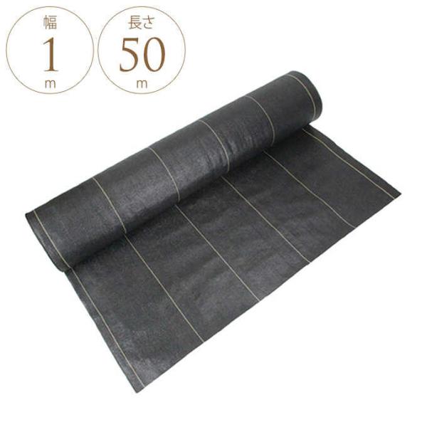 x hV[g  ()@1m×50m  G ΍ ~  ɂ V[g oɂ  ƒp 