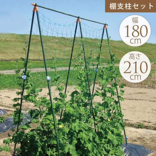 野菜 支柱の人気商品 通販 価格比較 価格 Com