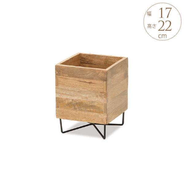 ₳ }S[Ebh v^[X^h L[u Rr 22cm  t[X^h  ԑ ؐ EbhX^h v^[