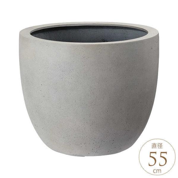 Aؔ ꌊ v^[ O 傫 ^  Ȃ Eh a55cm