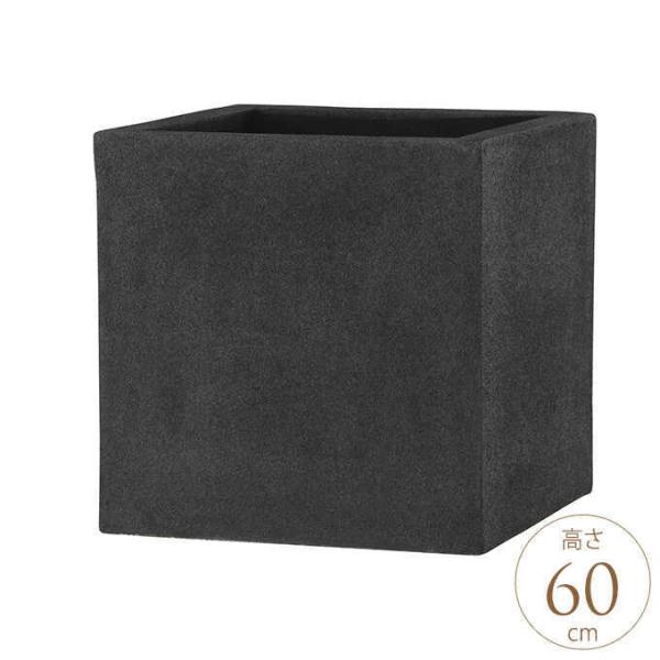 Âɕ炷 ^v^[ 60×60cm  Aؔ 傫  ꌊ v^[ O