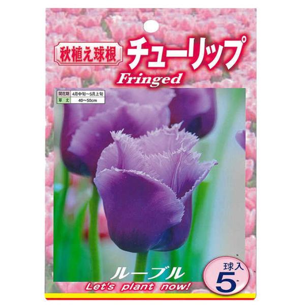 秋 花 植えの人気商品 通販 価格比較 価格 Com