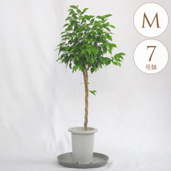 ϗtA tBJXxW~ M 7  A 7 CeA  rO O x_ A   lC O[  t