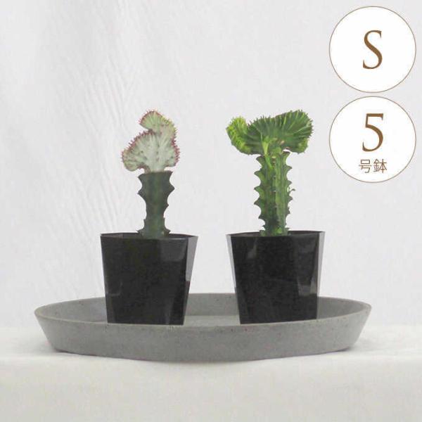 ϗtA [tHrA S 5  A 5 CeA  rO O x_ A   eX ItBX lC A 