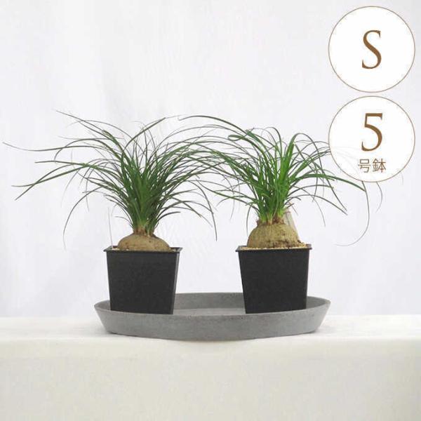 ϗtA gbN S 5  A 5 CeA  rO O x_ A   eX ItBX lC N