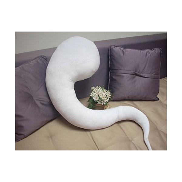 Project l̒t 鮗d ʂ 100cmRXv j003