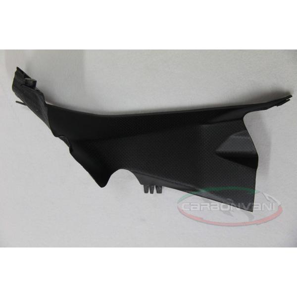 PANIGALE 1199 / GAt@lJo[@p / / J[{ECARBONVANI(J[{o[j)DUCATIEPANIGALE 1199 hDJeB