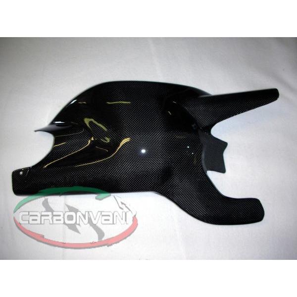 X^[1100pFXCOA[K[h@1100pF J[{ECARBONVANI(J[{o[j)DUCATIEMONSTER1100F hDJeB