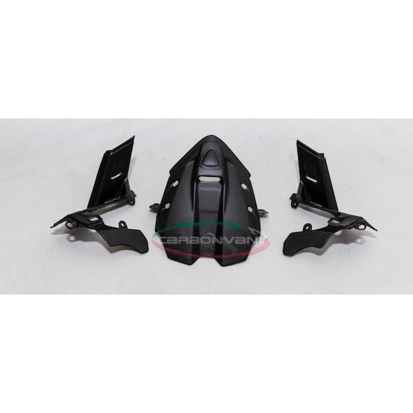 DUCATI V4R 2020~F[^[Jo[ / J[{ECARBONVANI(J[{o[j)hDJeB