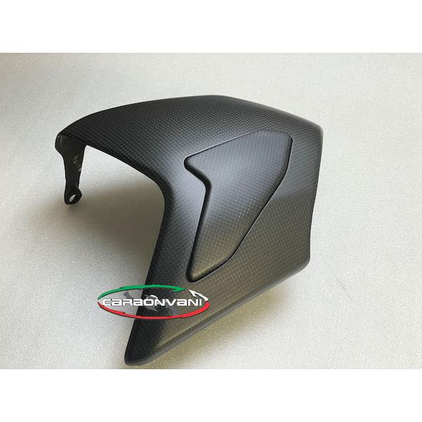 Xg[gt@C^[V4:XCOA[K[h@DPS / J[{ECARBONVANI(J[{o[j)DUCATIESTREETFIGHTER V4 hDJeB