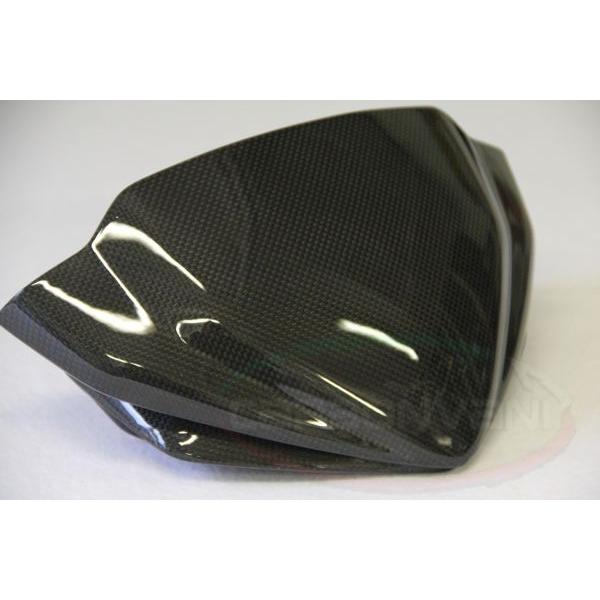 u^[ (2010`)F[^[Jo[FJ[{ECARBONVANI(J[{o[j)MV AGUSTAEBRUTALE(2010`)F MVAOX^