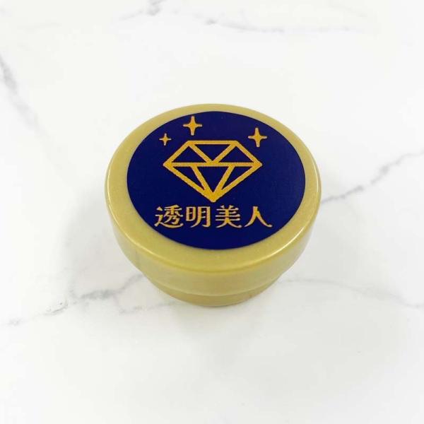プラスチック用研磨剤 透明美人 10g 水槽 アクリル 傷 キズ 補修