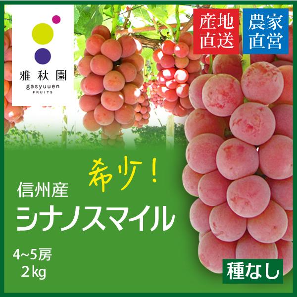 信濃スマイル　箱込み4キロ シナノスマイル2Kg（4〜5房） : 雅秋園-Yahoo!店 - 通販 - Yahoo
