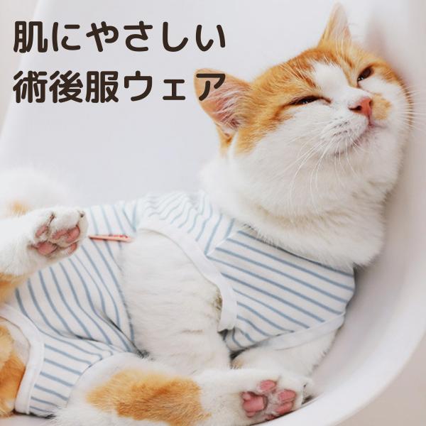 猫 術後服 ボーダー 猫服 猫用 手術後服 保護服 ウェア エリザベス ネコ 傷舐め 傷口保護 ねこ ネコ