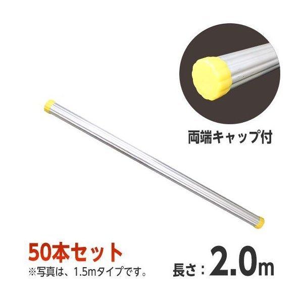 アルミ製単管パイプ 2m 50本セット (φ48.6) ホーシン『両端キャップ付 