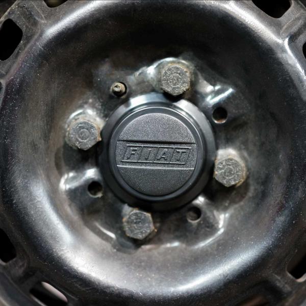 gattina-online_fp000204