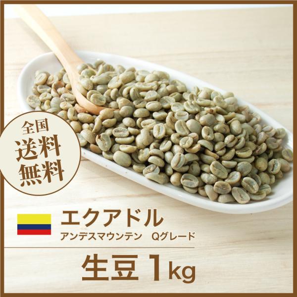 【メタル】【コーヒー生豆】エクアドル　アンデスマウンテン 5kg エクアドル アンデスマウンテン パラモ ウォッシュド（Equador Andes