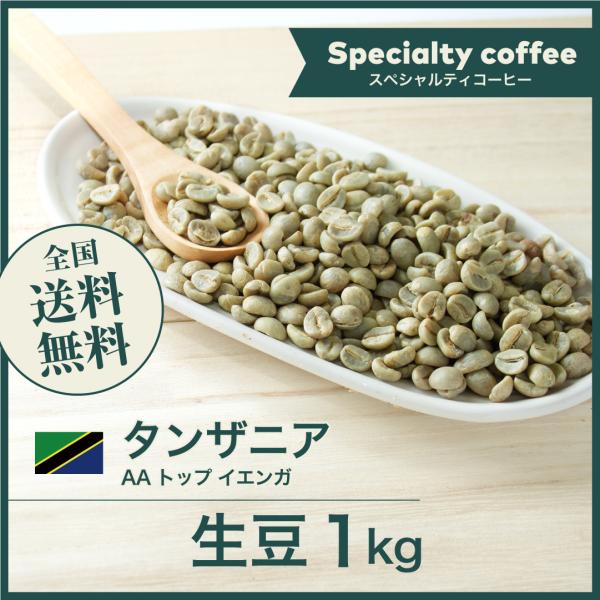 コーヒー 生豆 タンザニア #AA 10kg 送料無料 (1kgx10)コーヒー生豆