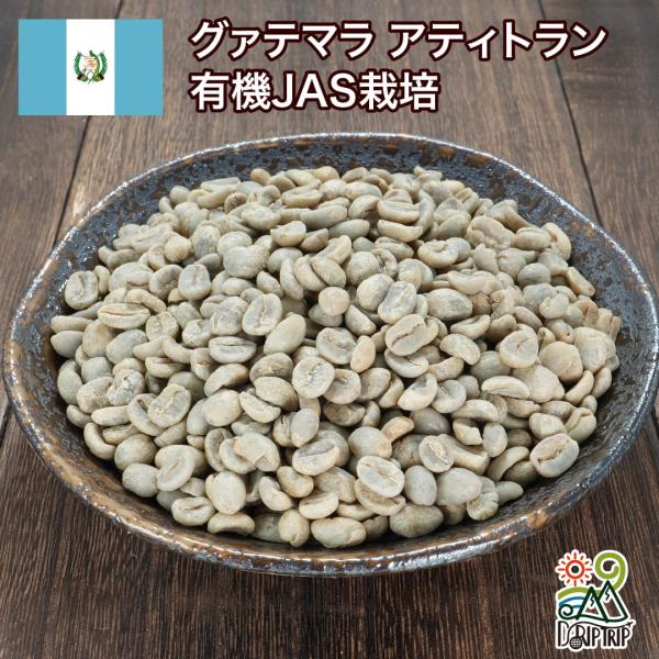 コーヒー 生豆 グァテマラ アティトラン Qグレード #065 DripTrip 1kg