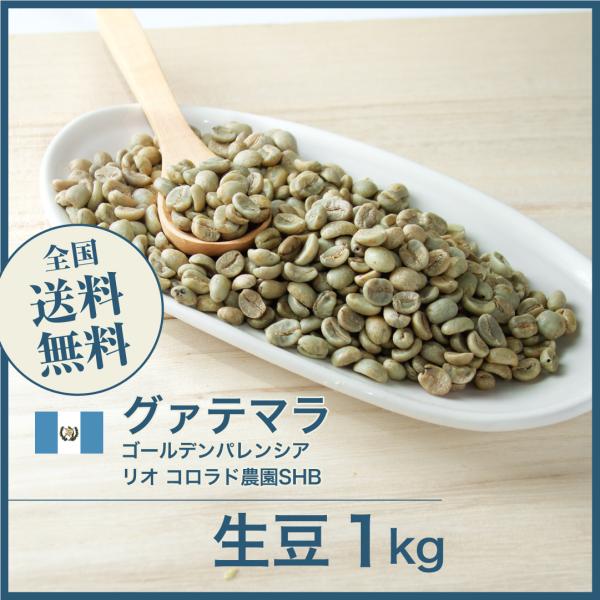 生豆 コーヒー 1kg グアテマラ ゴールデンパレンシア リオ コロラド