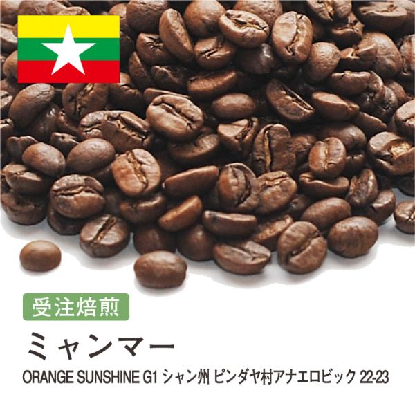 コーヒー 豆 粉 ミャンマー ORANGE SUNSHINEG1 シャン州 ピンダヤ村アナエロビック #180 DripTrip 珈琲