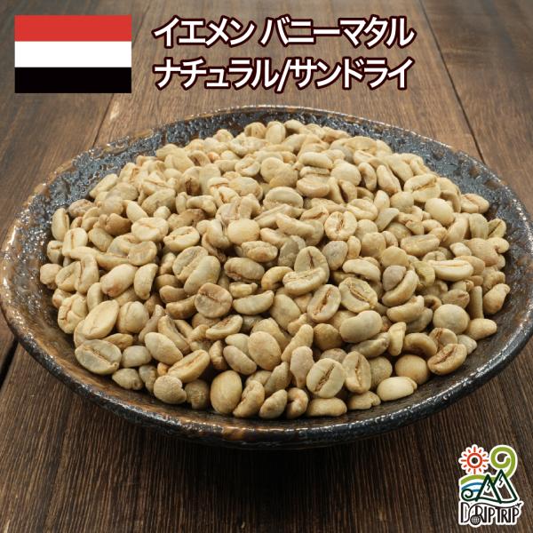 コーヒー 生豆 イエメン バニーマタル ナチュラル/サンドライ #206