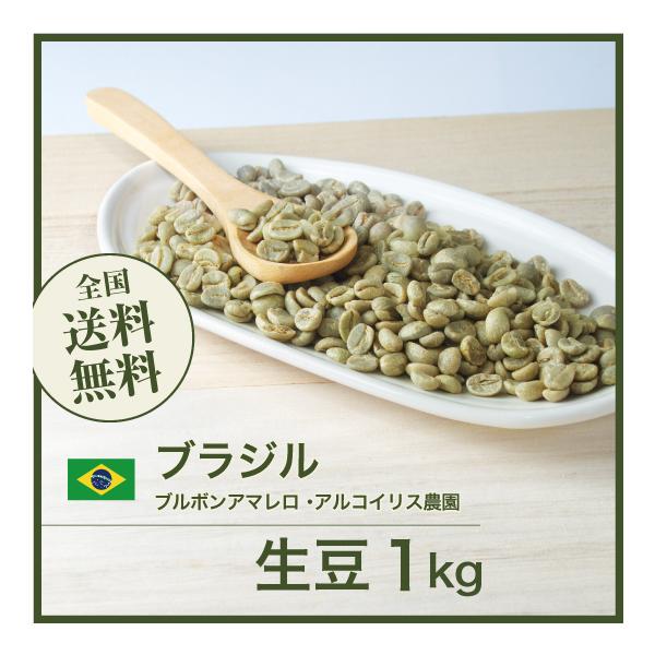生豆 コーヒー 1kg ブラジル ブルボンアマレロアルコイリス農園