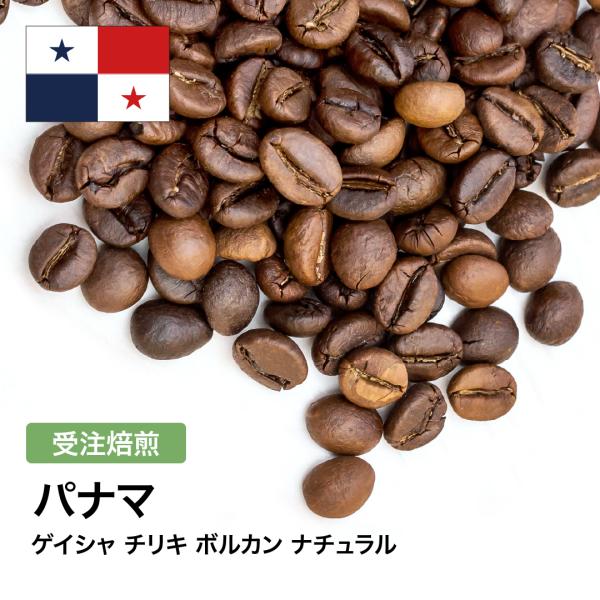 コーヒー 豆 粉 パナマ ゲイシャ チリキ ボルカン ナチュラル #286