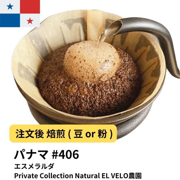 コーヒー 豆 粉 パナマエスメラルダ 2025クロップPrivate Collection