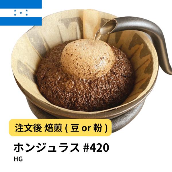 コーヒー豆 ホンジュラス HG 受注焙煎 選べる焙煎度合い 珈琲 【DRIP