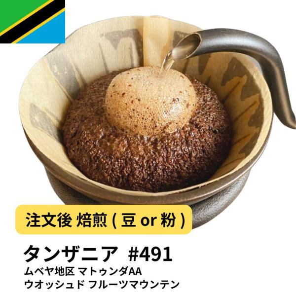 タンザニア コーヒー豆 ムベヤ地区 マトゥンダAA ウオッシュド フルーツマウンテン  #491 DripTrip 珈琲