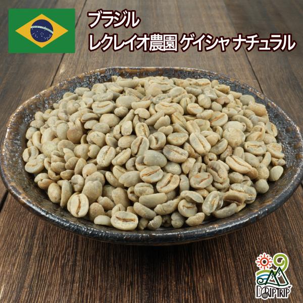 コーヒー 生豆 ブラジル レクレイオ農園 ゲイシャ ナチュラル 送料無料1kg 2kg 5kg #528 DRIP TRIP