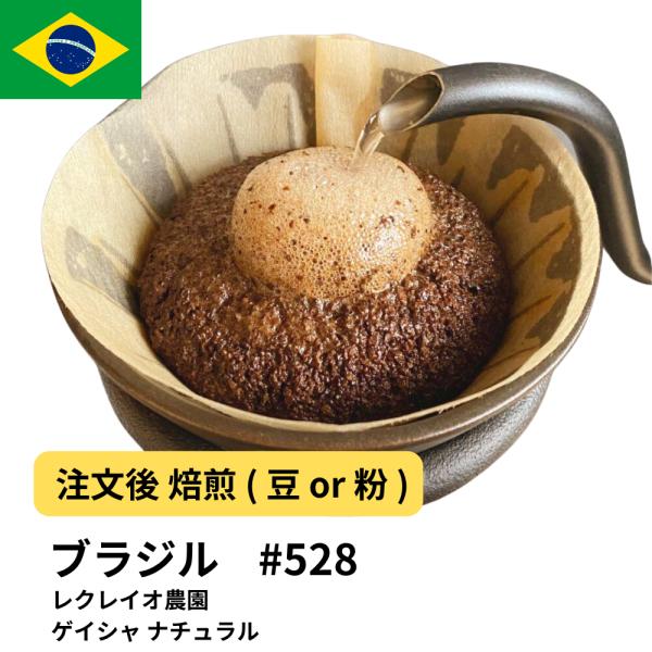 ブラジル コーヒー豆 レクレイオ農園 ゲイシャ ナチュラル #528 DripTrip 珈琲