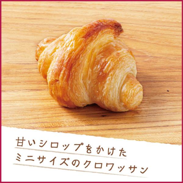 NbT 12A܂NbT12@v24̗Ⓚp |Cgp