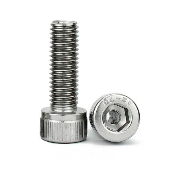 M6 x 1.0 長さ 10mm 六角穴付きボルト 304ステンレス鋼 2本入 GAVAN