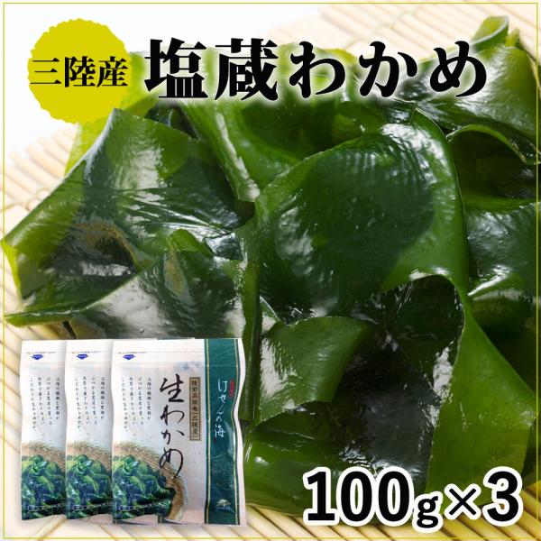 킩 킩 Y OY 100g×3 OcnU ̓  2025 3.11 Mtg 蕨 