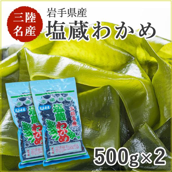 킩 킩 Y 茧Y 500g×2 ^CRE ̓  2025 Mtg 蕨  3.11