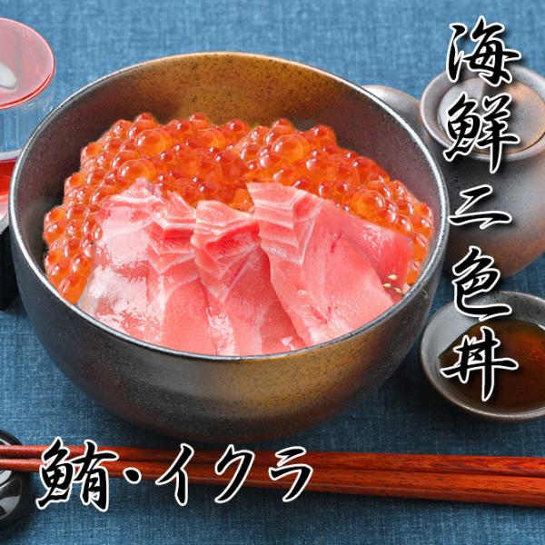 CNF g CN 3`4lO CN  Zbg 2025 ̓  v[g Mtg hg a  O j