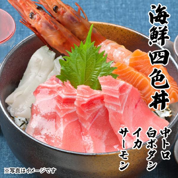 CNlF g {^Gr T[ CJ 3`4lO CN  Zbg 2025 ̓  v[g Mtg hg a 蕨 O j