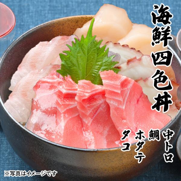 CNlF g  z^e ^R 3`4lO CN  Zbg 2025 ̓  v[g Mtg hg O j