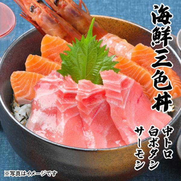 CNOF  g {^Gr T[ 3`4lO CN  Zbg hg 2025 ̓  v[g Mtg O j