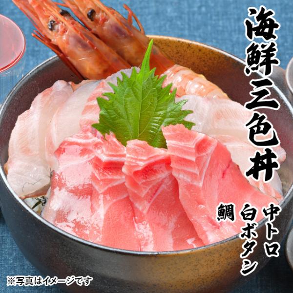 CNOF g {^Gr  3`4lO CN  Zbg 2025 ̓  v[g Mtg hg O j