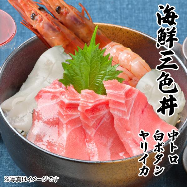 CNOF g {^Gr CJ 3`4lO CN  Zbg 2025 ̓  v[g Mtg hg O j