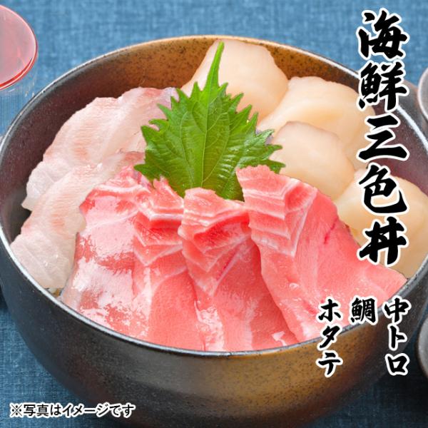 CNOF g  z^e 3`4lO CN  Zbg 2025 ̓  v[g Mtg hg O j