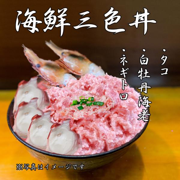 CNOF ^R lMg {^Gr 3`4lO CN  Zbg 2025 ̓  v[g Mtg hg O j